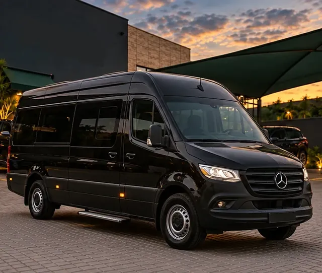 Van Mercedes-Benz Sprinter preta